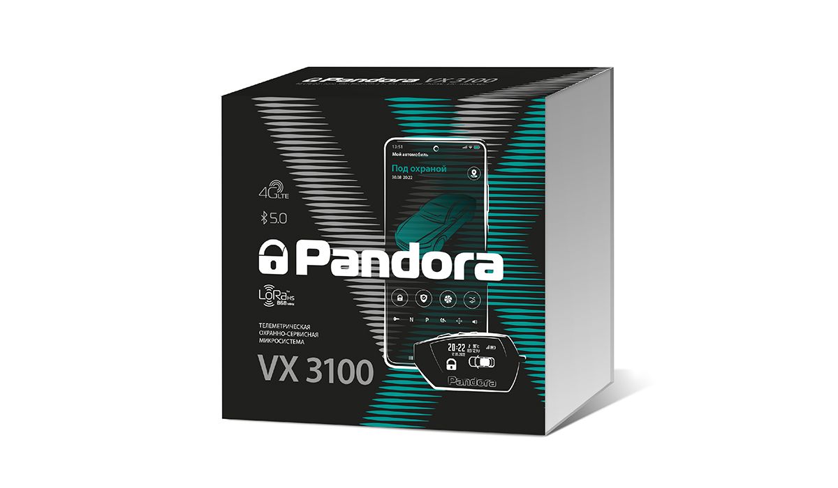 Упаковка Pandora VX 3100